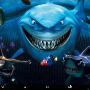 Meet your Posher, Jamison